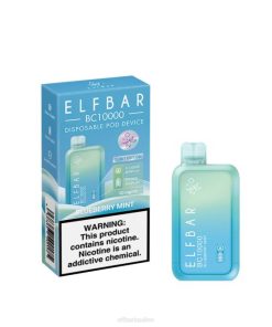 Elf Bar Preise Österreich T0NB278 | Blaubeerminze ELFBAR BC10000 Einweg-Vapor